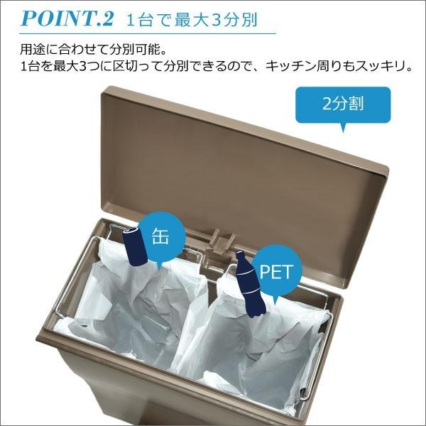 Iwatani ゴミ箱 おしゃれ 45リットル 45L キッチン 分別 蓋付き Iwatani ゴミ箱 おしゃれ 45リットル 45L キッチン 分別 蓋付き