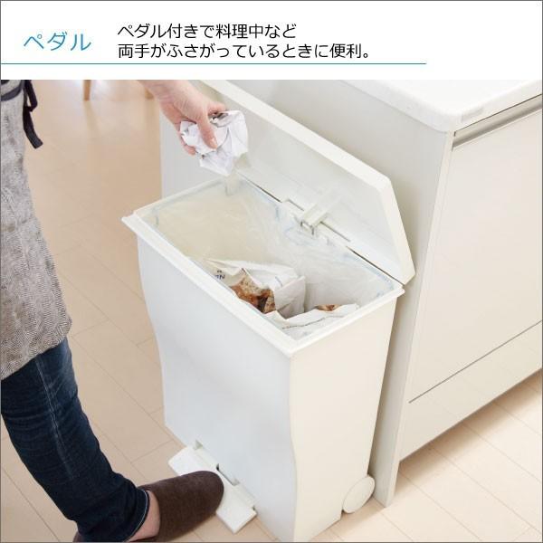 Iwatani ゴミ箱 おしゃれ 45リットル 45L キッチン 分別 蓋付き Iwatani ゴミ箱 おしゃれ 45リットル 45L キッチン 分別 蓋付き
