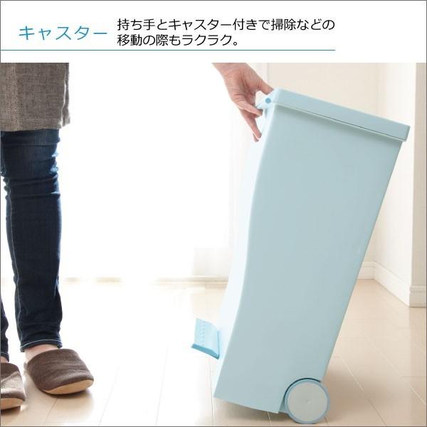 Iwatani ゴミ箱 おしゃれ 45リットル 45L キッチン 分別 蓋付き Iwatani ゴミ箱 おしゃれ 45リットル 45L キッチン 分別 蓋付き