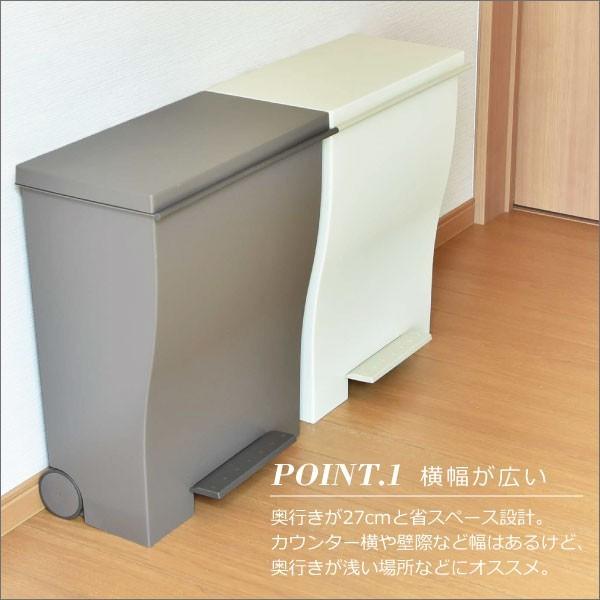 Iwatani ゴミ箱 おしゃれ 45リットル 45L キッチン 分別 蓋付き Iwatani ゴミ箱 おしゃれ 45リットル 45L キッチン 分別 蓋付き