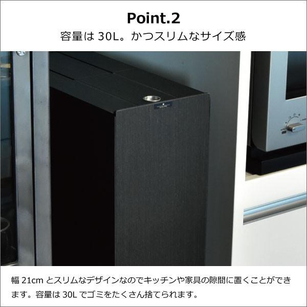 TATSUーCRAFT ゴミ箱 キッチン用 おしゃれ 30リットル 分別