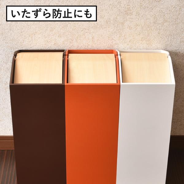 ヤマト工芸 ゴミ箱 スリム おしゃれ 分別 キッチン ダストボックス