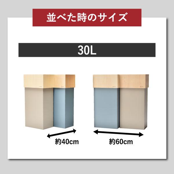 ヤマト工芸 ゴミ箱 45リットル袋対応 おしゃれ 分別 スリム