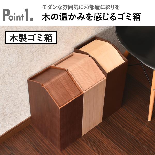 ヤマト工芸 ゴミ箱 おしゃれ 分別 ダストボックス ふた付き リビング
