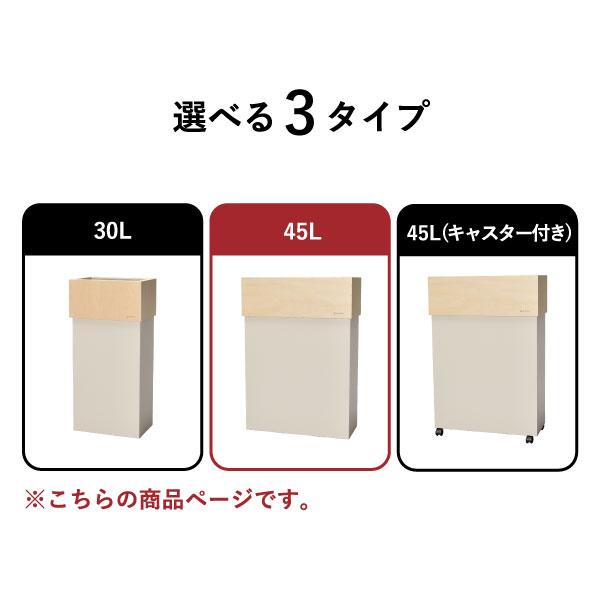 ヤマト工芸 ゴミ箱 おしゃれ 分別 スリム ダストボックス キッチン用
