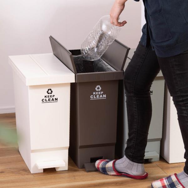 東谷 ゴミ箱 45リットル袋対応 おしゃれ 両開き 観音開き スリム