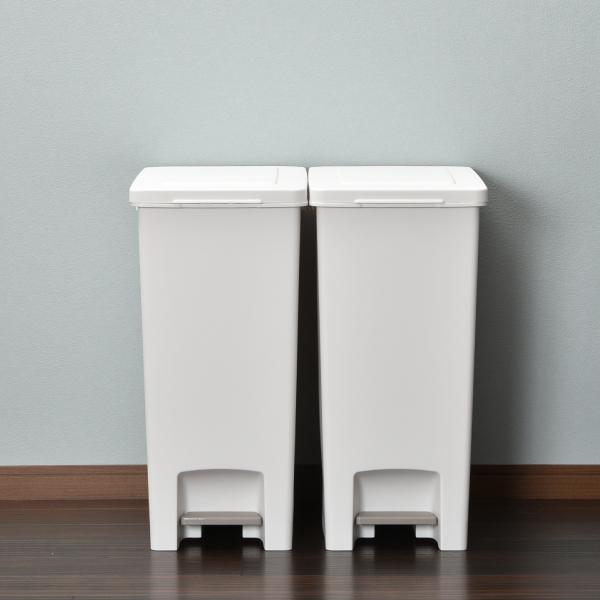 アスベル（ASVEL） ゴミ箱 おしゃれ 45リットル ダストボックス