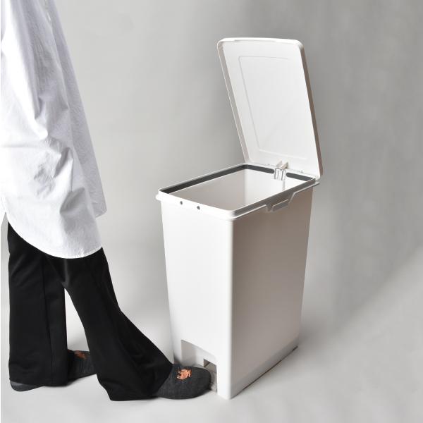 アスベル（ASVEL） ゴミ箱 おしゃれ 45リットル ダストボックス