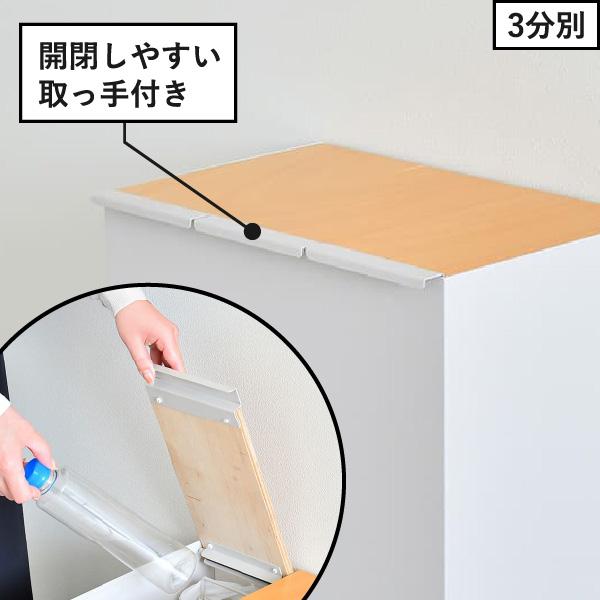 足立製作所 ゴミ箱 おしゃれ キッチン 分別 蓋付きゴミ箱 ごみ箱