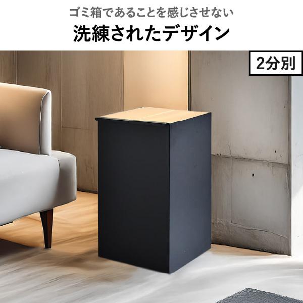 足立製作所 ゴミ箱 おしゃれ キッチン 分別 蓋付きゴミ箱 ごみ箱