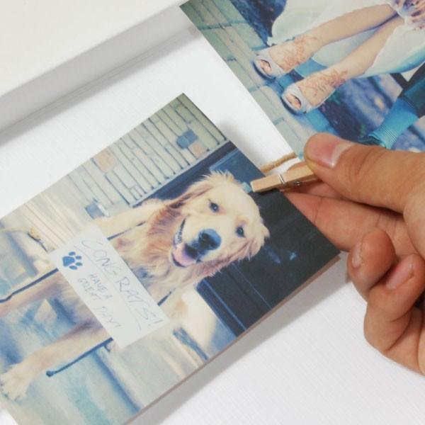 Umbra クロースライン フリップ フォトディスプレイ アンブラ