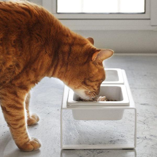 tower フードボウル 陶器 犬 猫 スタンド ペット用品 餌入れ おしゃれ