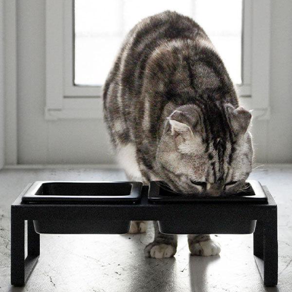 キャットタワー 大型猫　ボウル　猫　ペット　用品 tower フードボウル 陶器 犬 猫 スタンド ペット用品 餌入れ おしゃれ