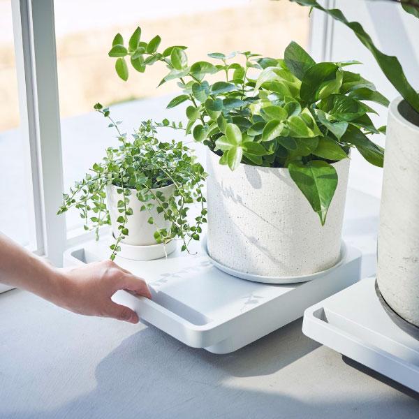 tower 台車 おしゃれ キャスター付き 平台車 鉢置き 室内用 観葉植物