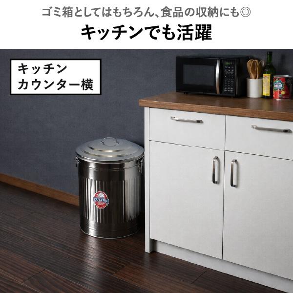 ゴミ箱 蓋付き 分別 おしゃれ ダストボックス キッチン リビング 収納 小物入れ かわいい レトロ 北欧 DULTON GARBAGE CAN ダルトン ガベージカン L ステンレス