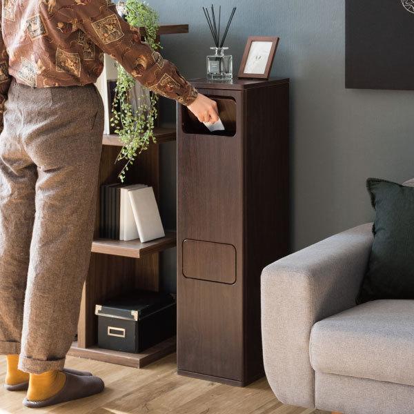 宮武製作所 ゴミ箱 おしゃれ 分別 スリム ダストボックス 蓋付き