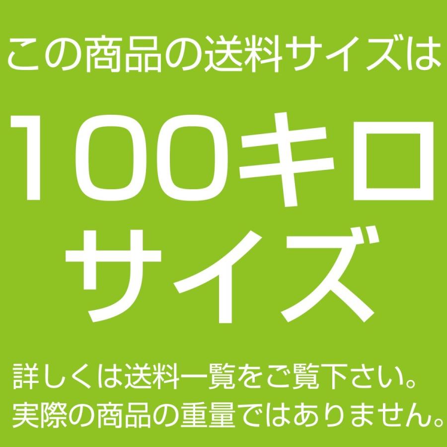 室内物干し台 KILALA 450-2000 きらら 小型 奥行き45cm 横幅200cm 室内 屋外 錆びない 多機能物干し ベランダ おしゃれ キャスター 便利 部屋干しの画像