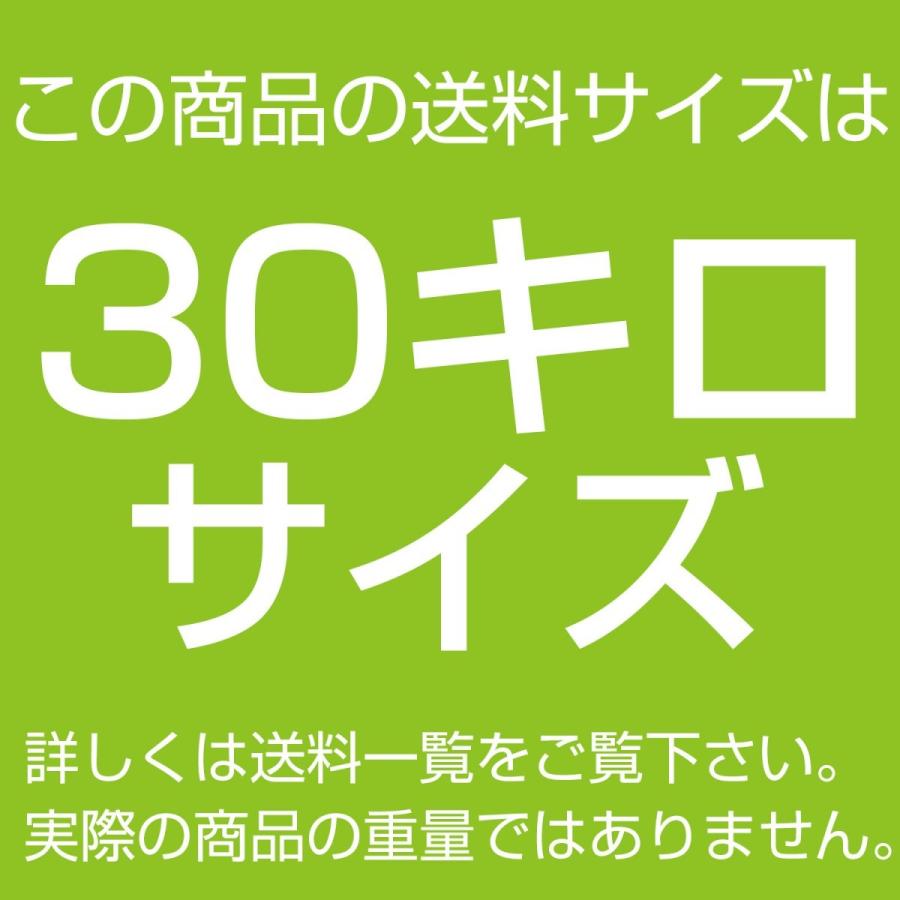 室内物干し台 KILALA 450-Ｔ-1500 きらら 小型 奥行き45cm 横幅150cm 室内 屋外 錆びない 多機能物干し ベランダ おしゃれ キャスター 便利 部屋干しの画像