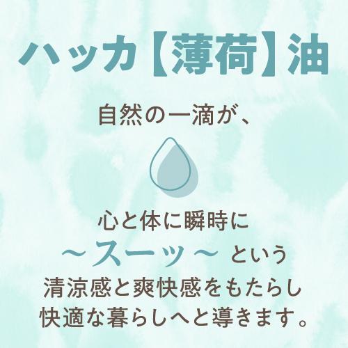 天然ハッカ油 日本製 200mL Mentha Oil 100 携帯用空スプレー10mL付き ハッカ油スプレー ミントオイル メンタオイル｜monoism｜06