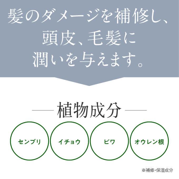 HiRoko Science（ヒロコ サイエンス） Hスカルプローション 100mL 2本