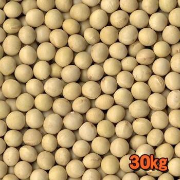 大豆 30kg 国産 ことゆたか 令和7年度産 滋賀県産 お味噌つくりに 貴重