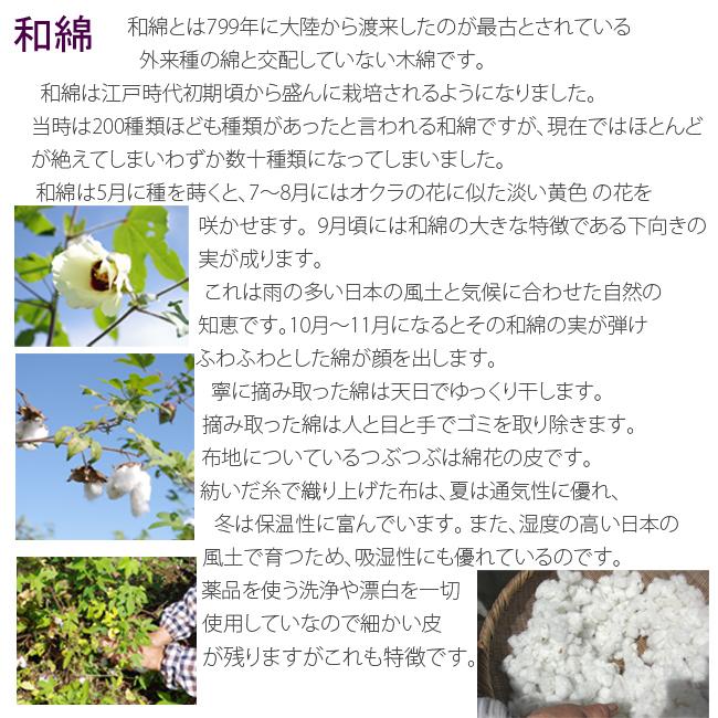 小豆アイピロー アイマスク 国産綿カバー付き あずき アイピロー 温熱