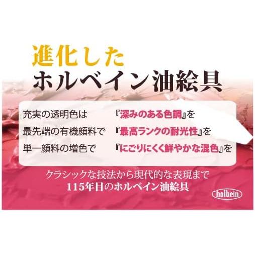 油絵セット ホルベイン 油絵具 Cセット ハードケース付き ホルベイン 油絵具 アタッシュ大長ボックス Cセット