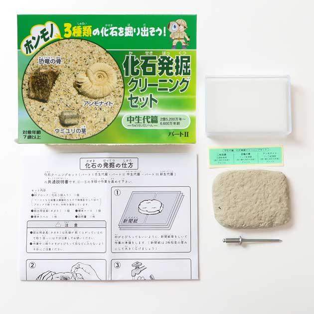 TOKYO SCIENCE 実験・体験シリーズ「化石発掘クリーニングセット