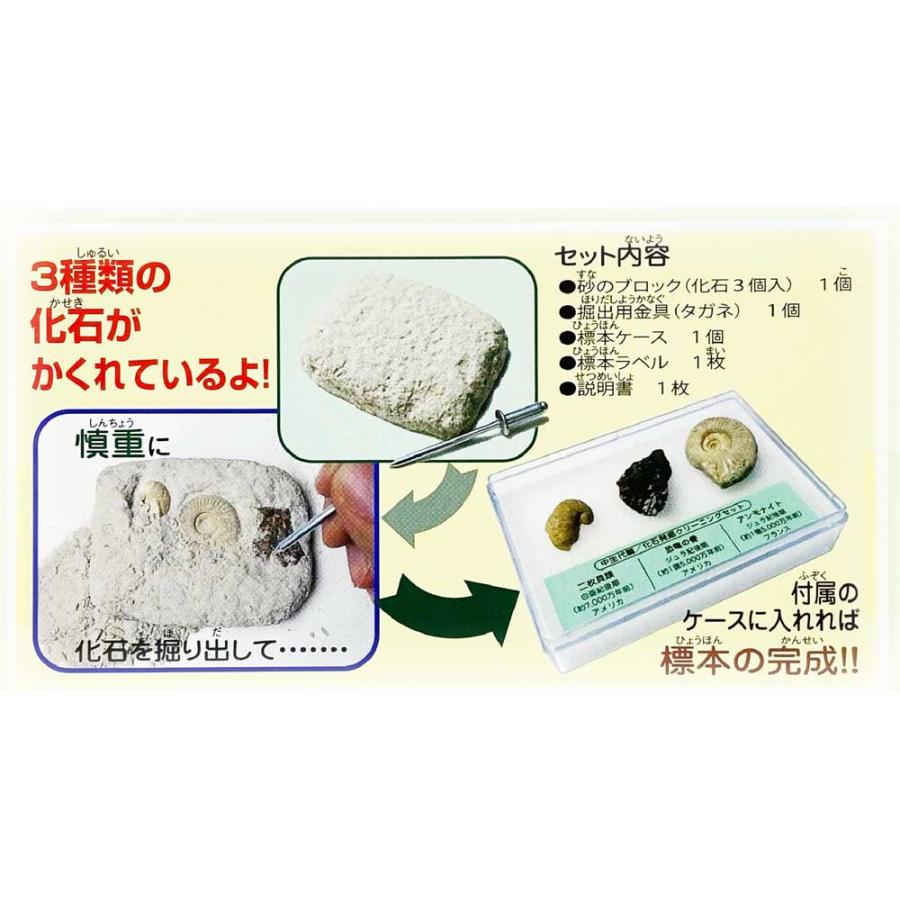 TOKYO SCIENCE 実験・体験シリーズ「化石発掘クリーニングセット