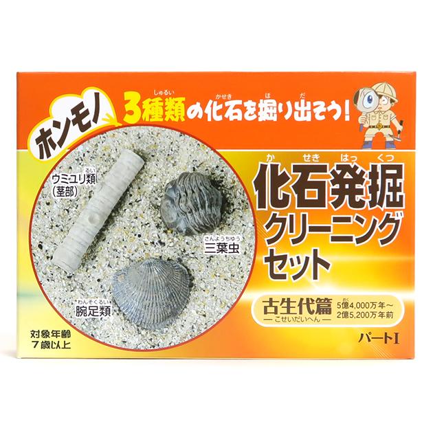 TOKYO SCIENCE 実験・体験シリーズ「化石発掘クリーニングセット
