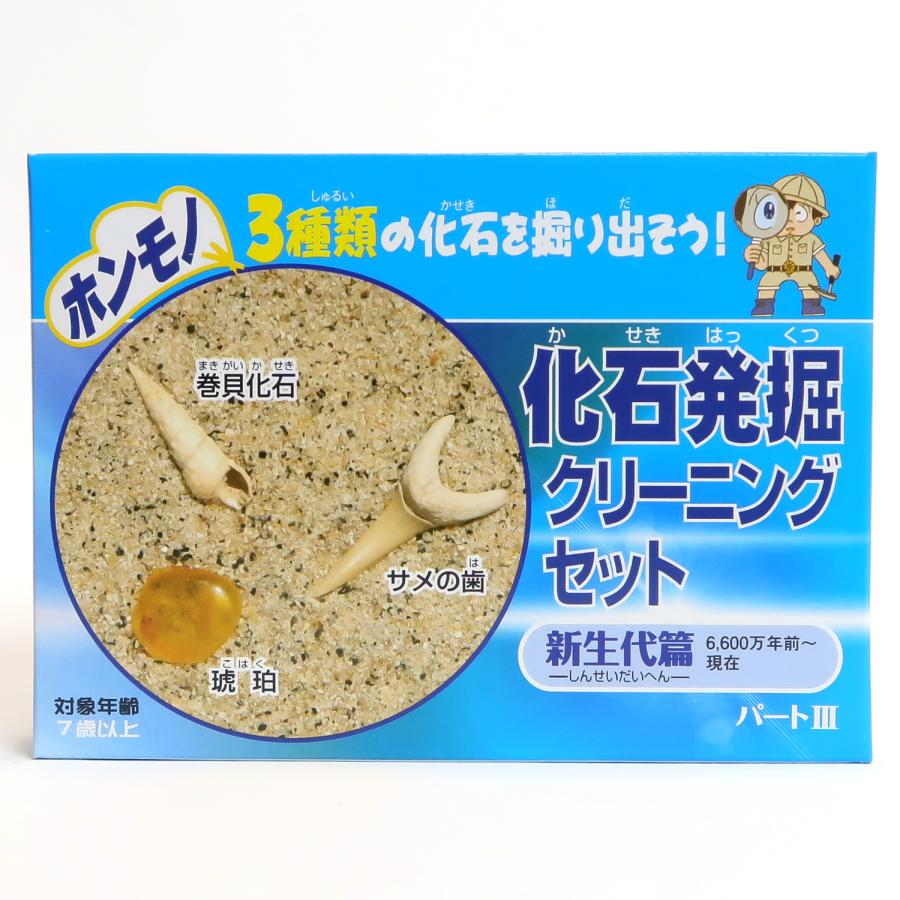 北海道中川　ノジュール　クリーニング　化石掘り 北海道中川 ノジュール クリーニング 化石掘り