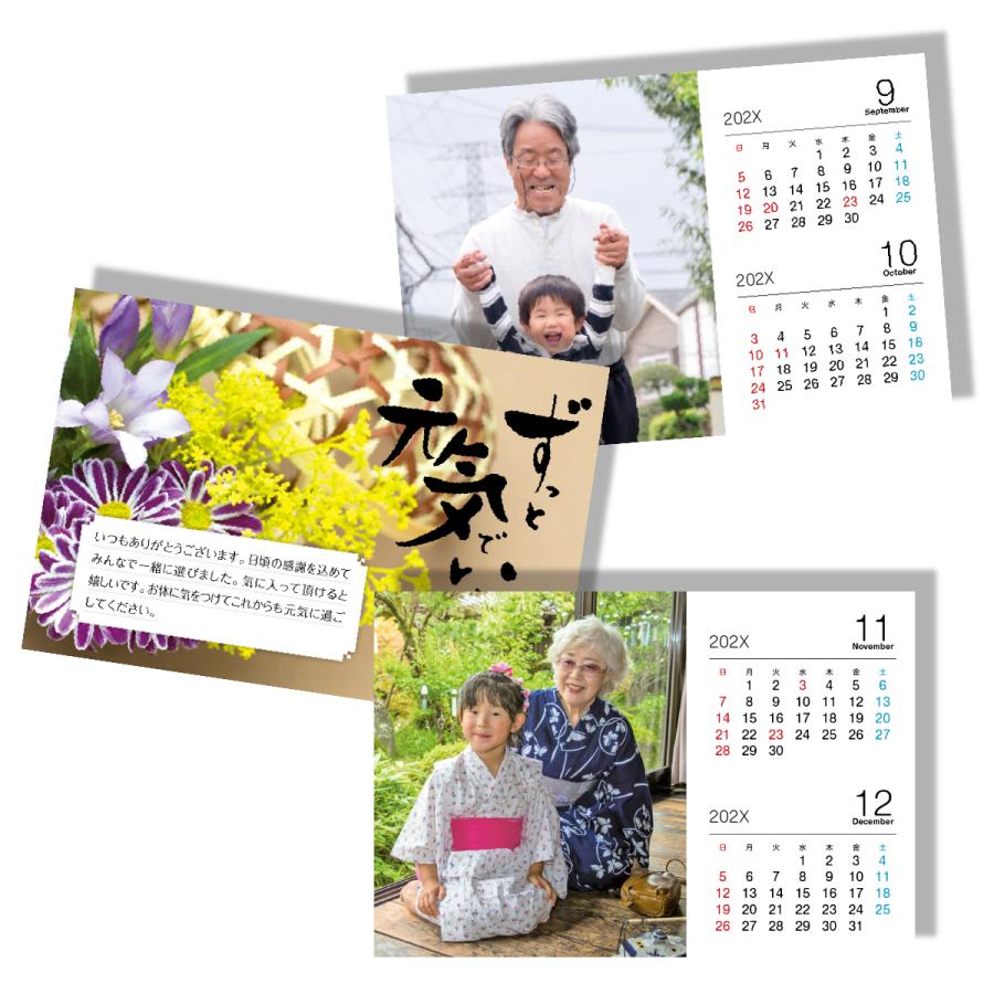 新品未使用 370点掲載 188P ギフト 敬老の日 プレゼント 今期 Amazon.co.jp: 【10個セット販売】健康長寿シリーズ いつまでも