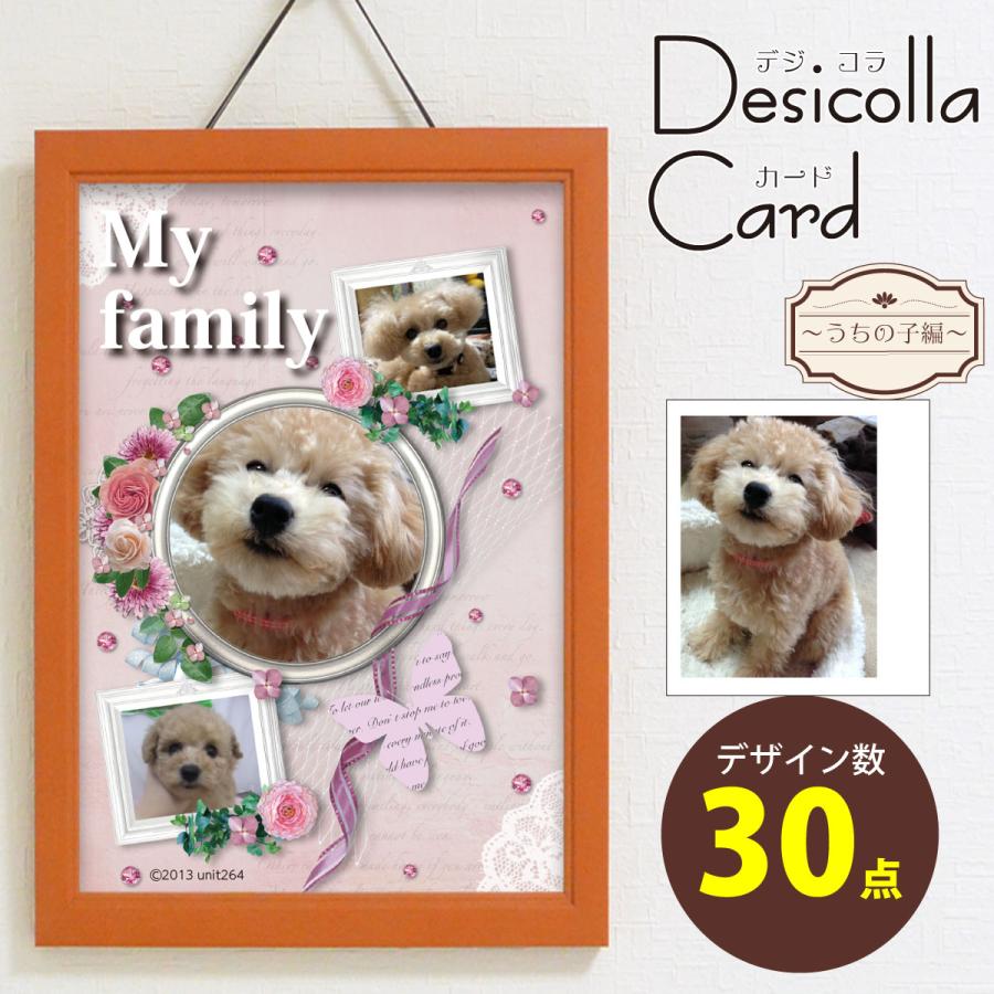 4枚 ペット 写真 ポストカード オリジナルデザイン 写真入り