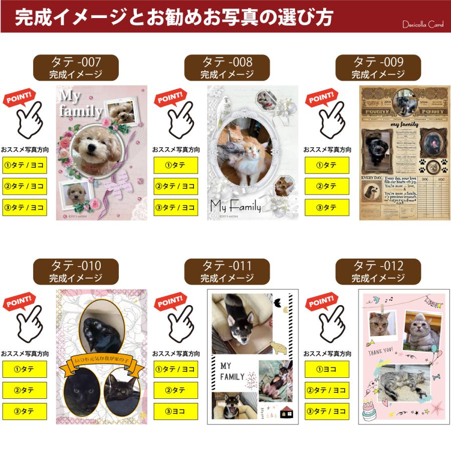 4枚 ペット 写真 ポストカード オリジナルデザイン 写真入り