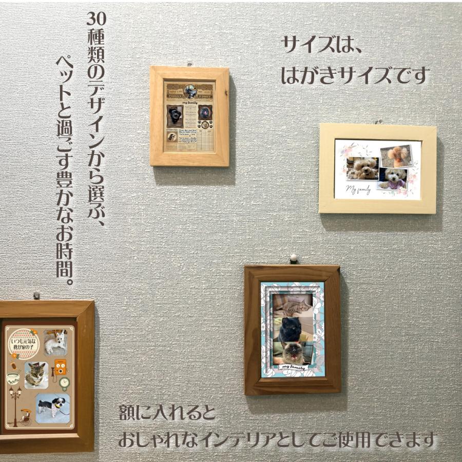 4枚 ペット 写真 ポストカード オリジナルデザイン 写真入り