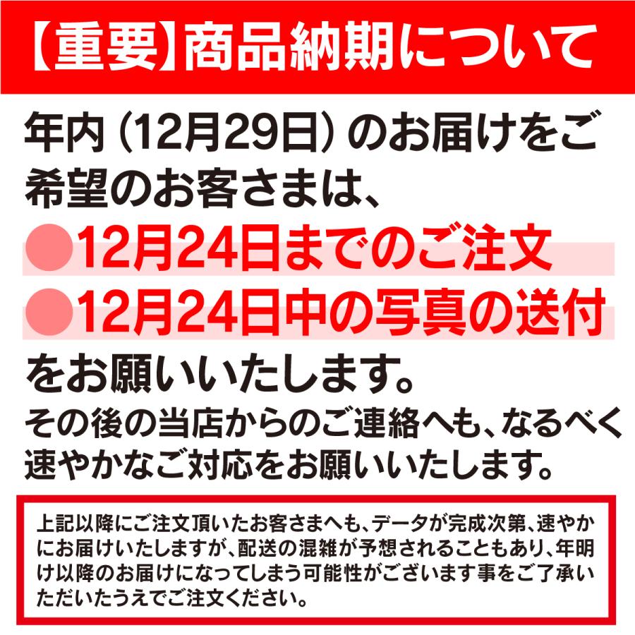 2024年 写真 2枚 私製年賀 写真入り 送料無料 2024 年賀状印刷 印刷 年賀 私製ハガキ はがき おしゃれ オリジナル デザイン 孫 子供 家族 辰 龍 辰年 令和6年｜monolike｜02