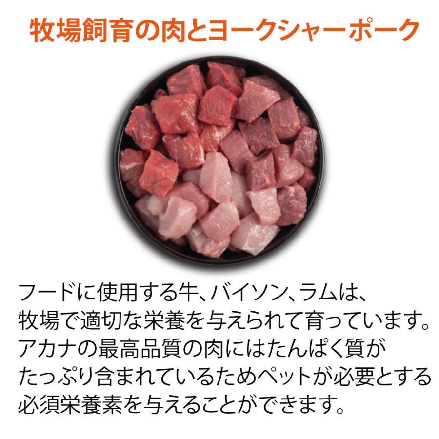 ペットフード アカナ フリーランダック 無添加 2kg ドッグフード ドライフード 犬 犬用 正規品 食物アレルギー対応 鴨肉 体重管理 肥満 | ACANA | 04