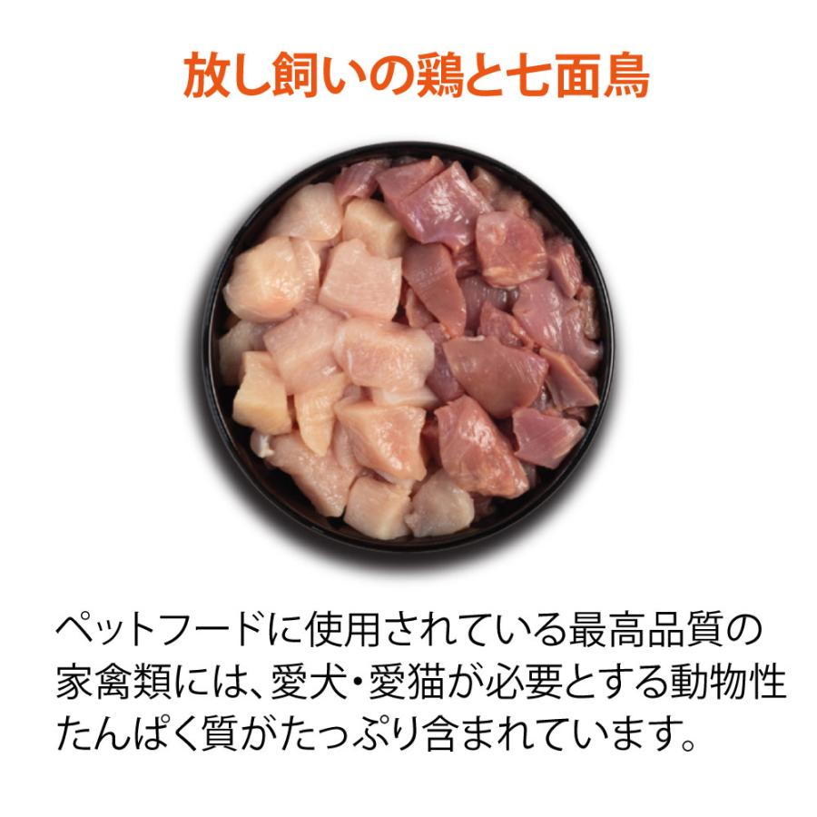 ペットフード アカナ フリーランダック 無添加 2kg ドッグフード ドライフード 犬 犬用 正規品 食物アレルギー対応 鴨肉 体重管理 肥満 | ACANA | 05