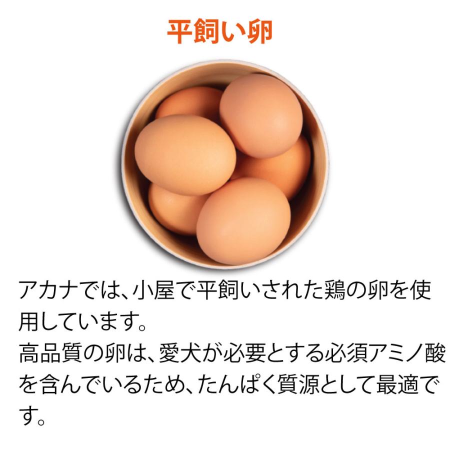 ペットフード アカナ フリーランダック 無添加 2kg ドッグフード ドライフード 犬 犬用 正規品 食物アレルギー対応 鴨肉 体重管理 肥満 | ACANA | 07