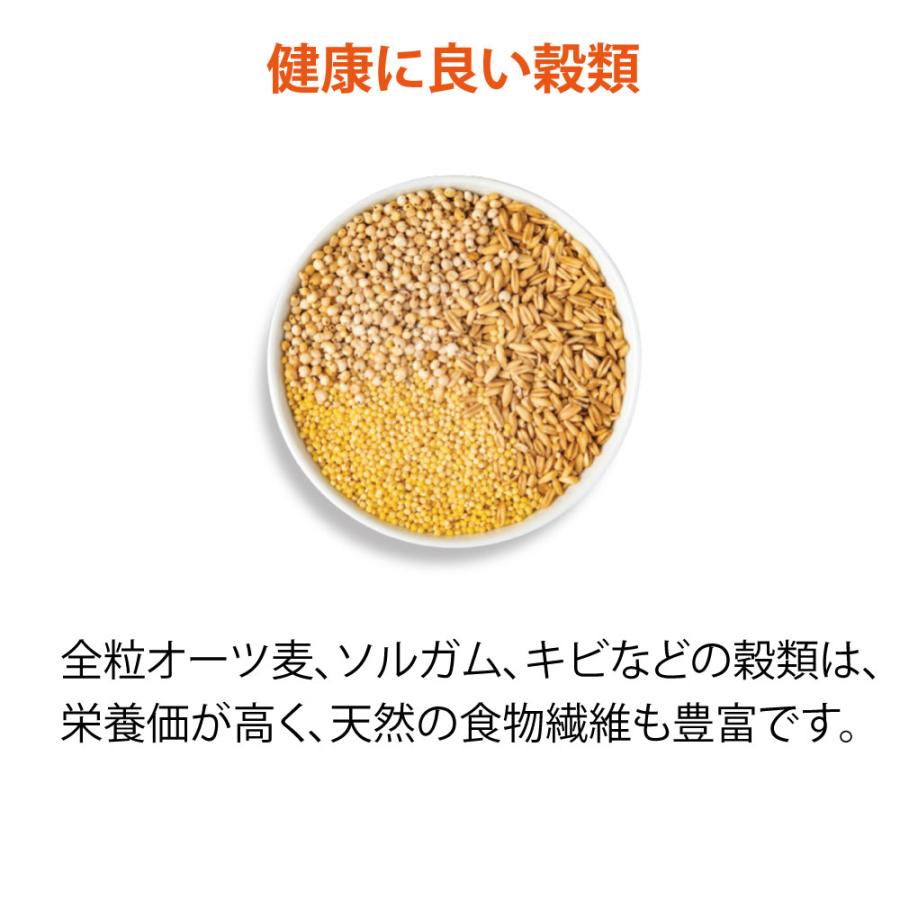 ペットフード ドッグフード ドライフード 無添加 アカナ ACANA ワイルドプレイリードッグレシピ 6kg 犬 正規品 体重管理 肥満_10