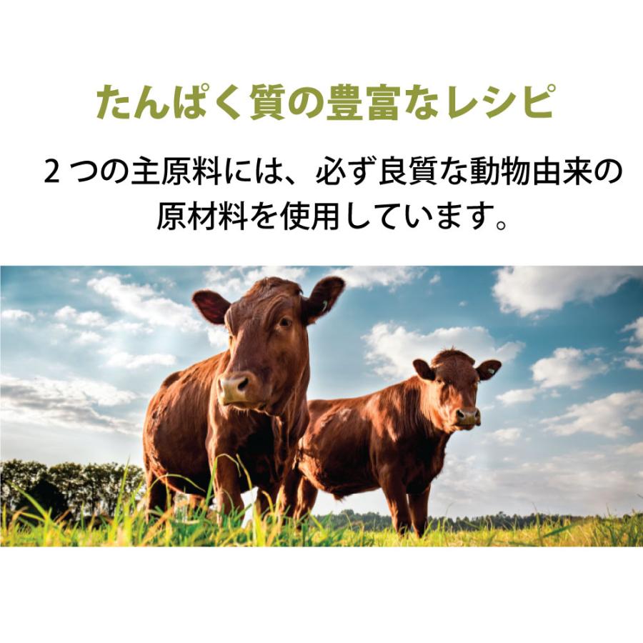 ペットフード ドッグフード ドライフード 無添加 アカナ ACANA ワイルドプレイリードッグレシピ 6kg 犬 正規品 体重管理 肥満_2