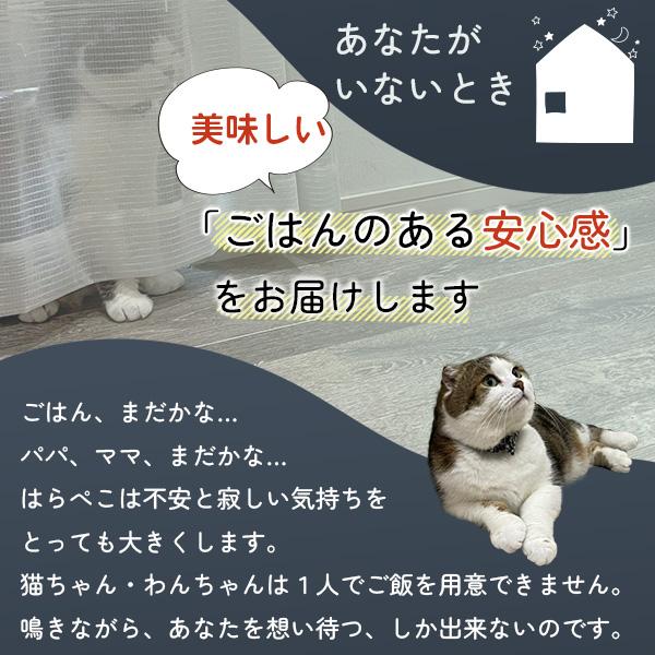 自動給餌器 カリカリマシーンV2 猫 犬 タイマー 自動餌やり機 給餌器 餌 エサ えさ 自動 手動 ペット 乾燥剤 密閉 ロック 蓋が閉まる 赤外線 センサー 洗える｜monolith-net｜04