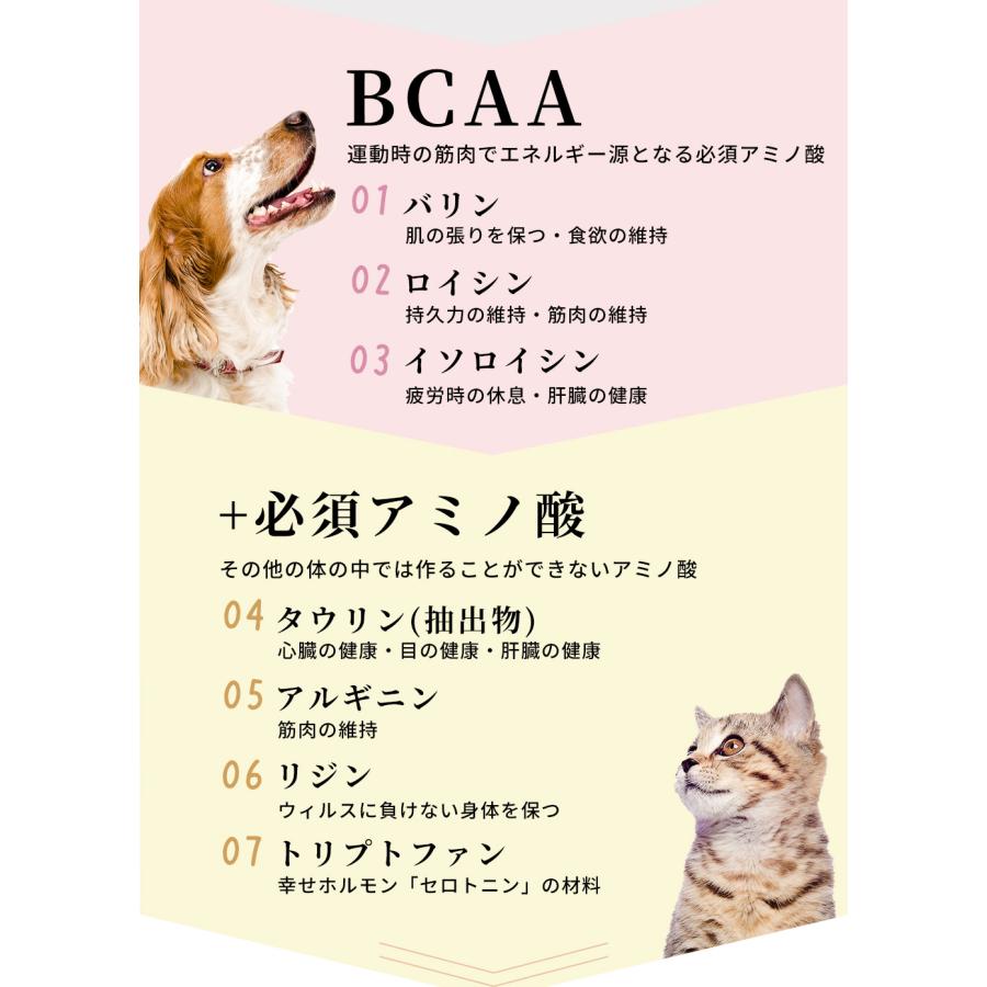 サプリメント ペット 犬 猫 BCAA アミノ酸 アミノファイン 100g サプリ 腎臓 療法食 フード 腎臓ケア タンパク質制限 筋力 筋肉 健康維持｜monolith-net｜07