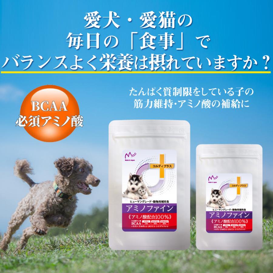 犬 猫 ペット BCAA アミノ酸 補給 サプリ サプリメント 健康維持 腎臓 療法食 タンパク質制限 栄養補給 筋力 筋肉<アミノファイン25g>【 メール便送料無料】 :aminofine25:人とペットのサプリ専門店モノリス - 通販 - Yahoo!ショッピング 犬 猫 ペット BCAA アミノ酸 補給 サプリ サプリメント 健康維持 腎臓 療法食 タンパク質制限 栄養補給 筋力 筋肉<アミノファイン25g>【 メール便送料無料】 :aminofine25:人とペットのサプリ専門店モノリス - 通販 - Yahoo!ショッピング
