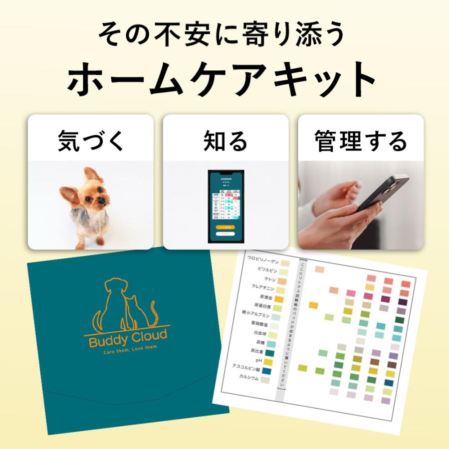 犬 猫 ペット 尿検査キット（2回分/箱） いぬ ねこ 自宅 尿検査