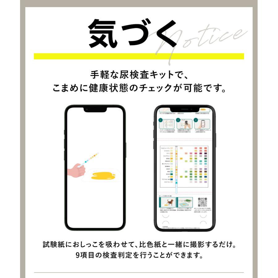 犬 猫 ペット 尿検査キット(2回分/箱) いぬ ねこ 自宅 尿検査 犬 猫 ペット 尿検査キット(2回分/箱) いぬ ねこ 自宅 尿検査
