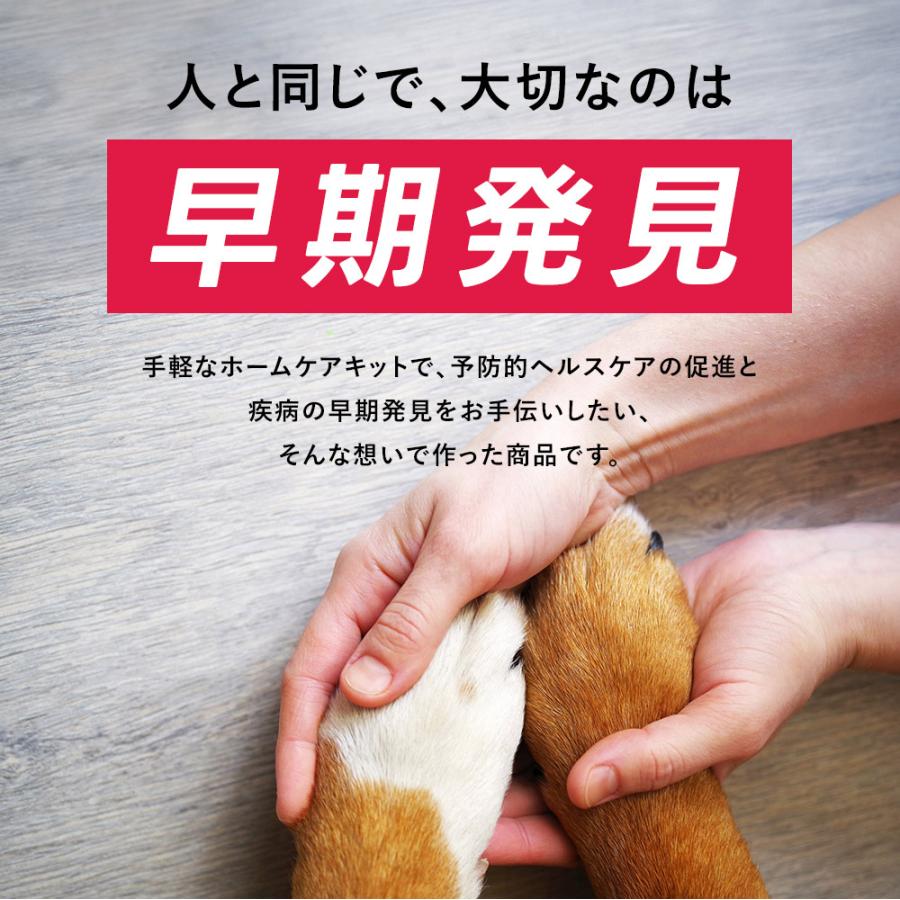 犬 猫 ペット 尿検査キット（2回分/箱） いぬ ねこ 自宅 尿検査 早期発見 早期対処 予防 腎臓 尿路器 泌尿器 糖尿 尿管 白血球 尿蛋白 簡単 Buddy Medical Check |  | 08