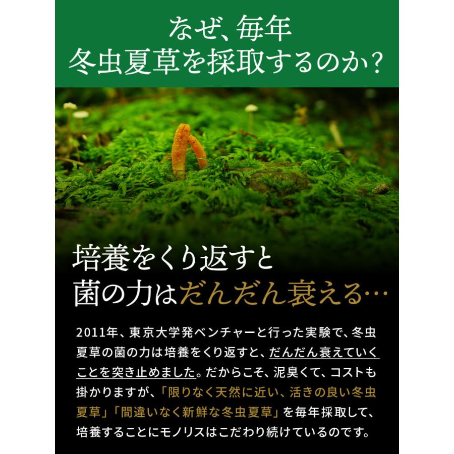 冬虫夏草 サプリ サプリメント 健康食品 日本産 シニア 免活 サポート 活力 の維持 妊活 持続力 キノコ モノリス虫草カプセル 送料無料 |  | 10