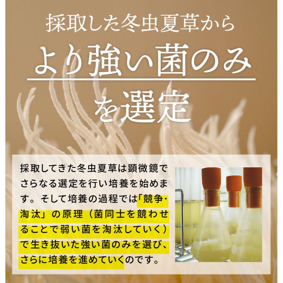 冬虫夏草 サプリ サプリメント 健康食品 日本産 シニア 免活 サポート 活力 の維持 妊活 持続力 キノコ モノリス虫草カプセル 送料無料 |  | 11