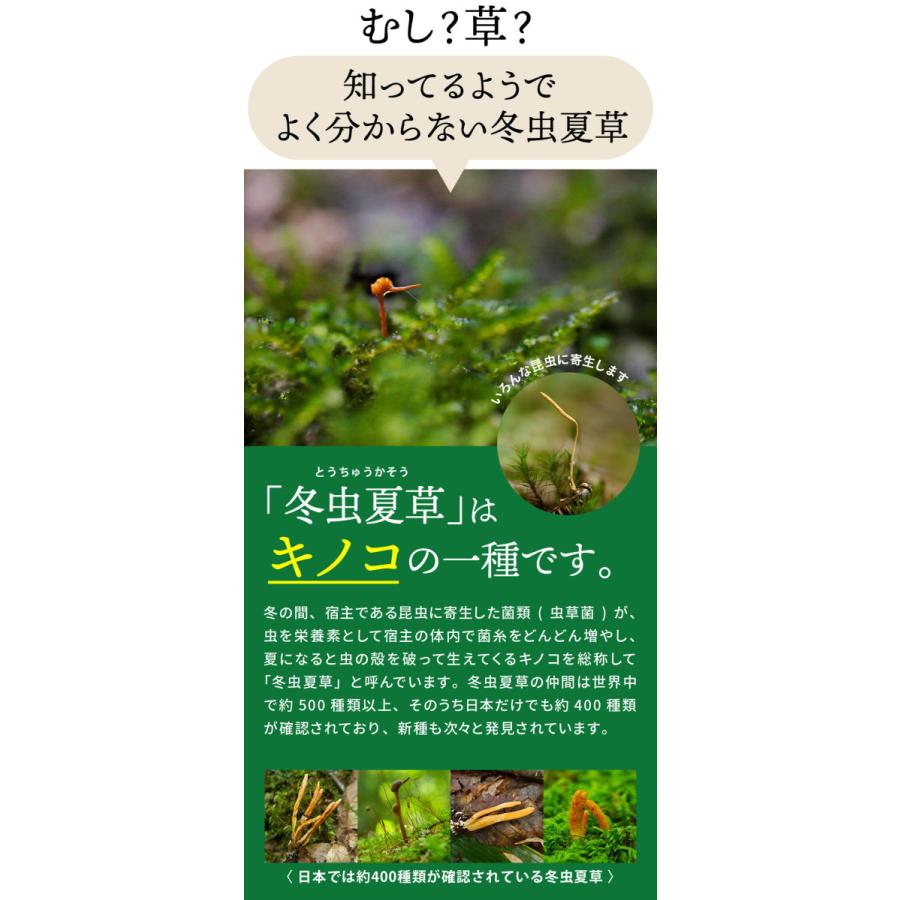 冬虫夏草 サプリ サプリメント 健康食品 日本産 シニア 免活 サポート 活力 の維持 妊活 持続力 キノコ モノリス虫草カプセル 送料無料 |  | 06